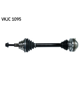 VKJC1095