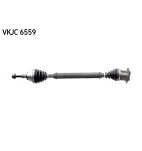 VKJC6559