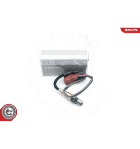 09SKV868