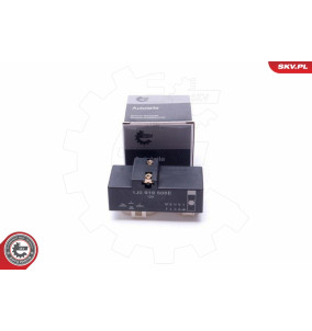 96SKV206